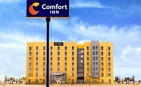Comfort Inn Delicias